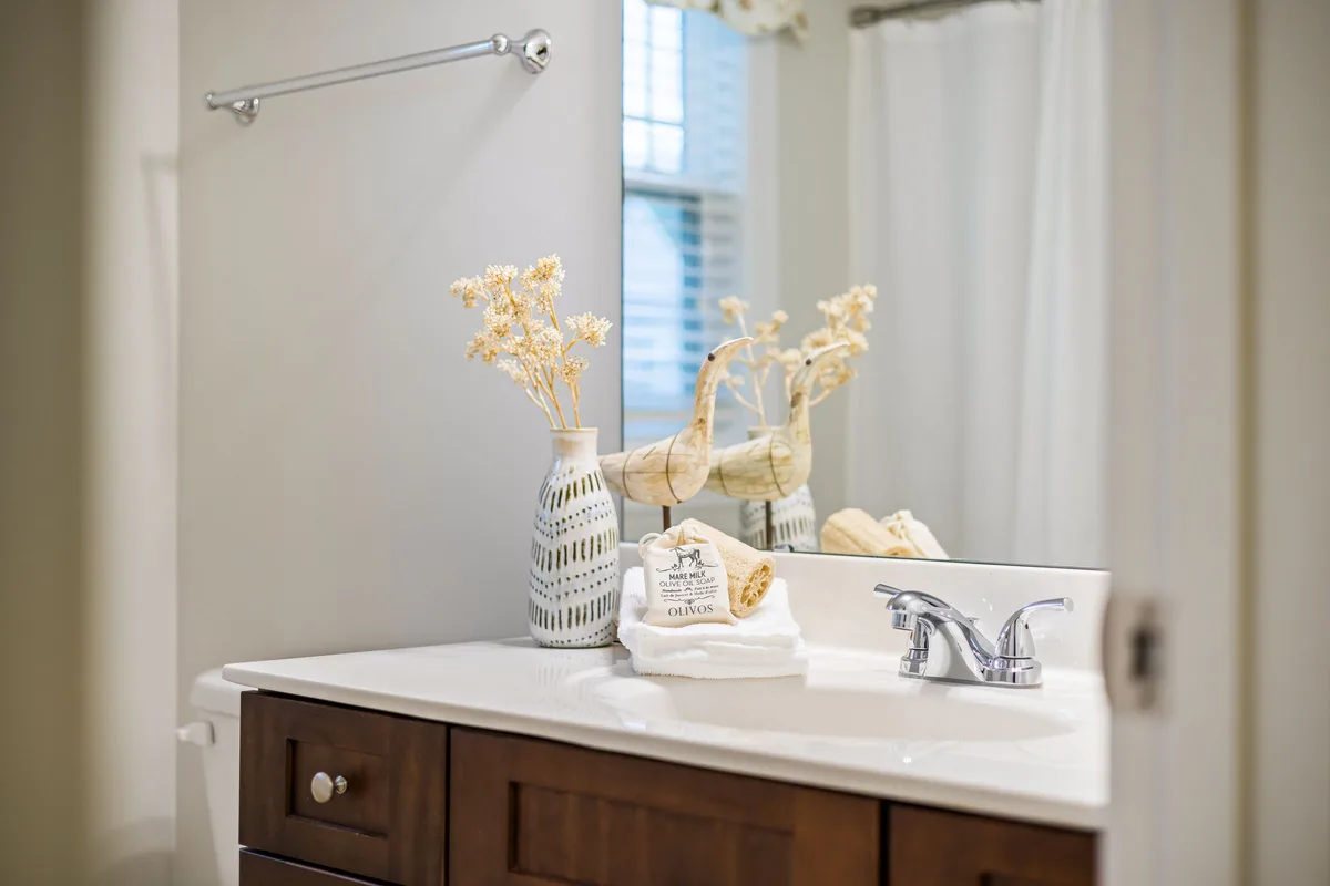 Bathroom sink with chrome faucet and wood vanity